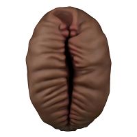 Alien's Pie brązowa sztuczna pochwa masturbator dla mężczyzn - 75472290 - 3